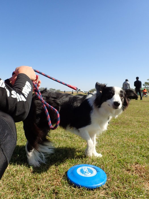 b0204498_12565701.jpeg