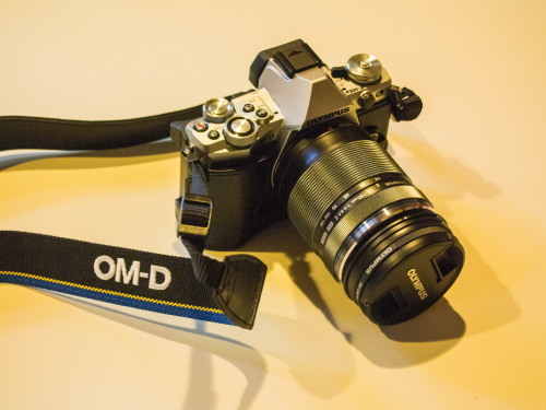 新カメラ「OLYMPUS OM-D EM5 MARKⅡ」でエゾリス君撮影会!_f0276498_00021368.jpg