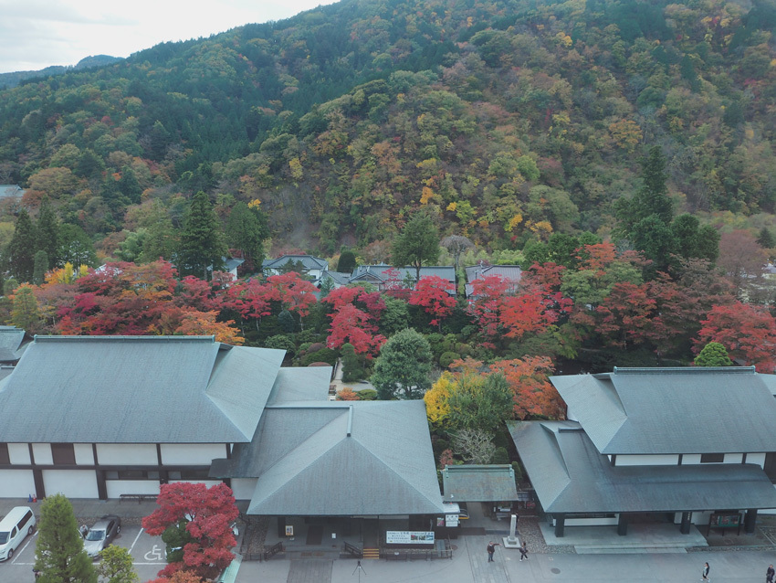 世界遺産「日光の社寺」の紅葉情報Ⅳ_a0320705_06225340.jpg