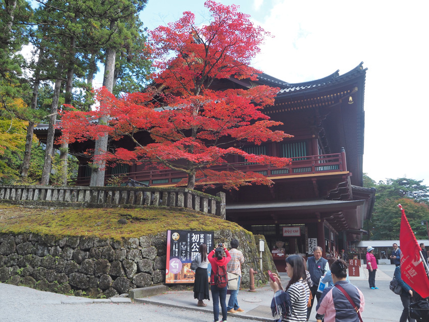 世界遺産「日光の社寺」の紅葉情報Ⅳ_a0320705_06283057.jpg