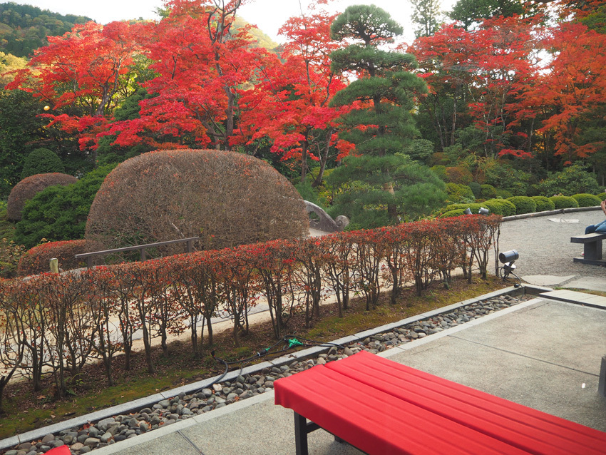 世界遺産「日光の社寺」の紅葉情報Ⅳ_a0320705_06320666.jpg