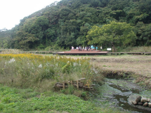 d0342206_16454863.jpg
