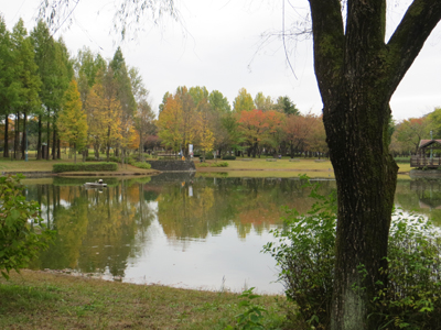 彩の森入間公園でのスケッチ会_b0129807_17323499.jpg