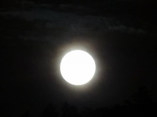 c0149408_18030554.jpg