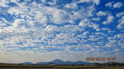 c0353919_611239.gif