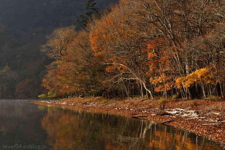 奥日光 千手ヶ浜 ～紅葉～_d0319222_10301075.jpg