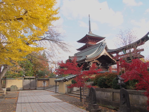 紅葉の最勝院五重塔(弘前市)*2015.10.28_b0147224_2218119.jpg