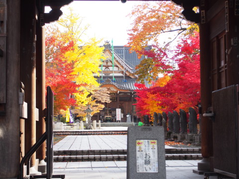 紅葉の最勝院五重塔(弘前市)*2015.10.28_b0147224_22184773.jpg