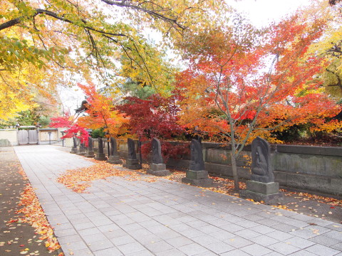 紅葉の最勝院五重塔(弘前市)*2015.10.28_b0147224_22191571.jpg