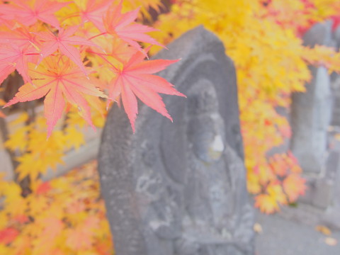 紅葉の最勝院五重塔(弘前市)*2015.10.28_b0147224_22202652.jpg