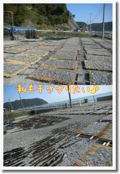 c0259934_13493566.png