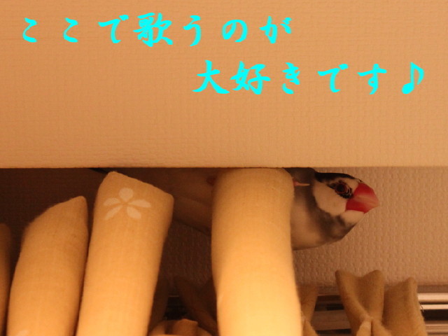c0365734_17123196.jpg