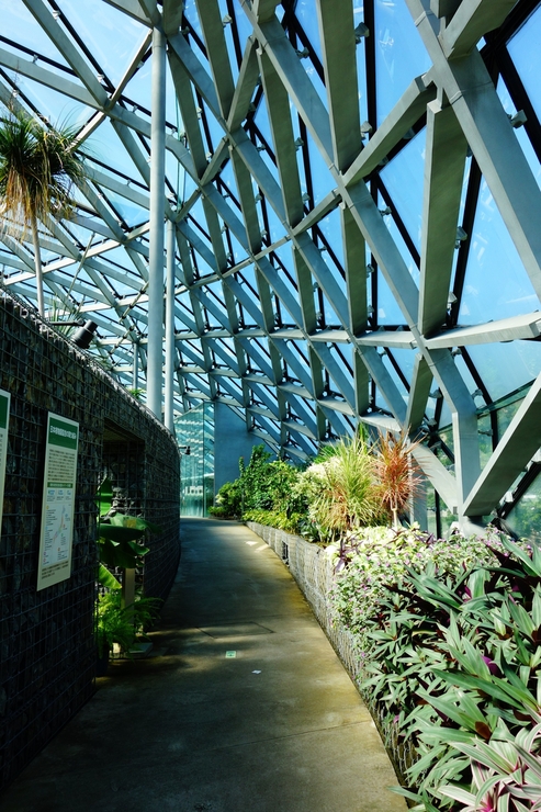 a0287336_14161030.jpg