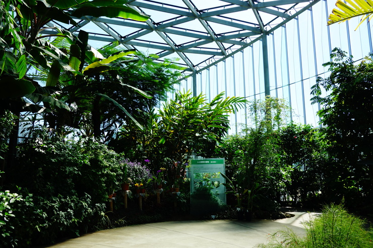 a0287336_14195583.jpg