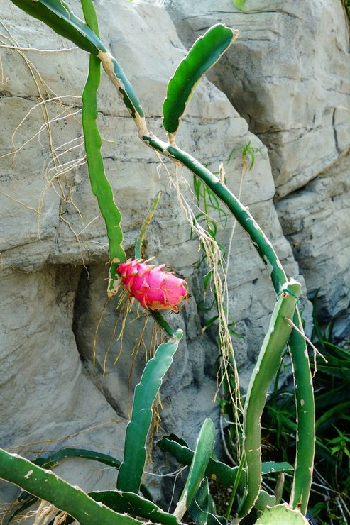 a0287336_14232038.jpg
