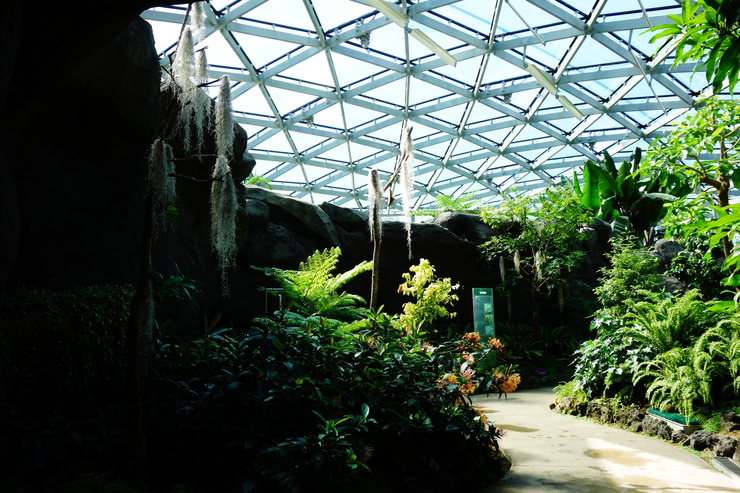 a0287336_14245793.jpg