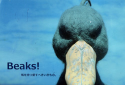 『Beaks!嘴を持つ愛すべき生き物』_f0038336_82439.jpg