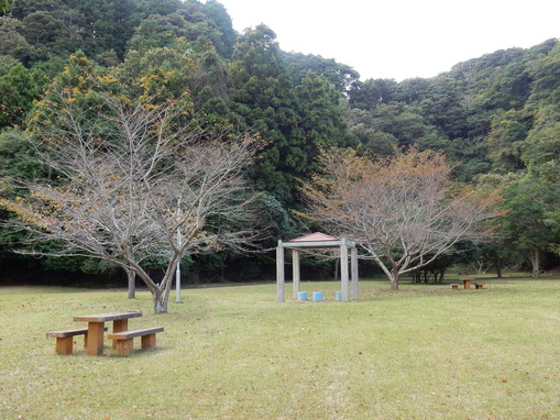 ’15,10,29(木)今日も元気に行きましょう!_f0060461_13353671.jpg
