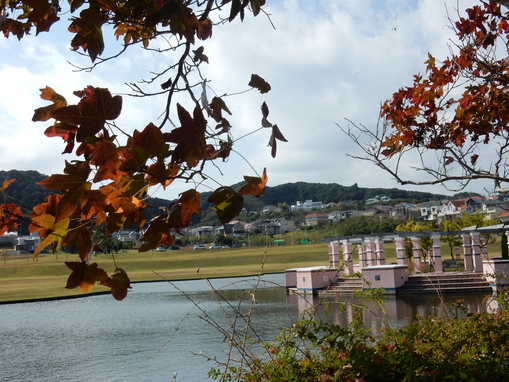 ’15,10,29(木)今日も元気に行きましょう!_f0060461_1338047.jpg