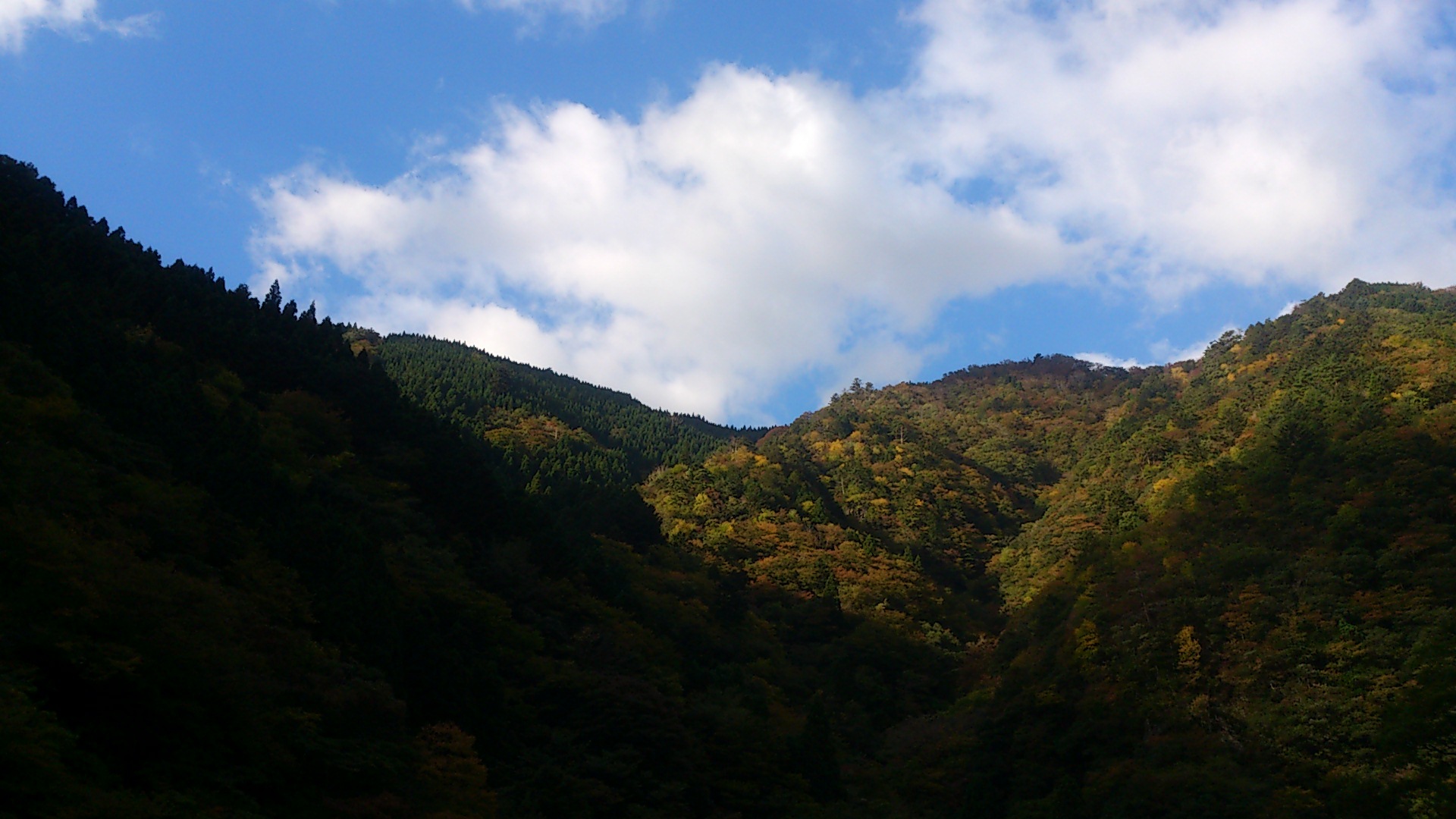f0327061_19504718.jpg