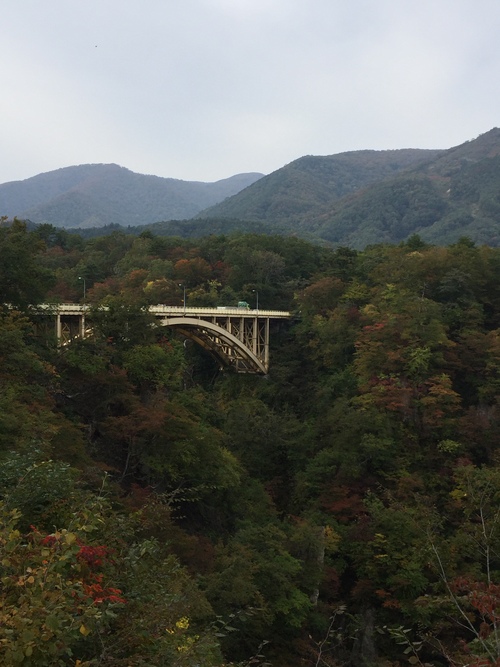 a0044162_13424082.jpg