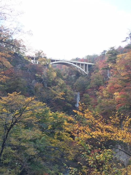 a0044162_13461039.jpg