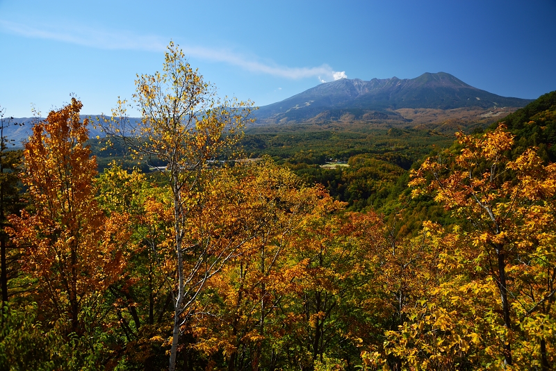 あれから１年後の御嶽山_d0341880_23162425.jpg