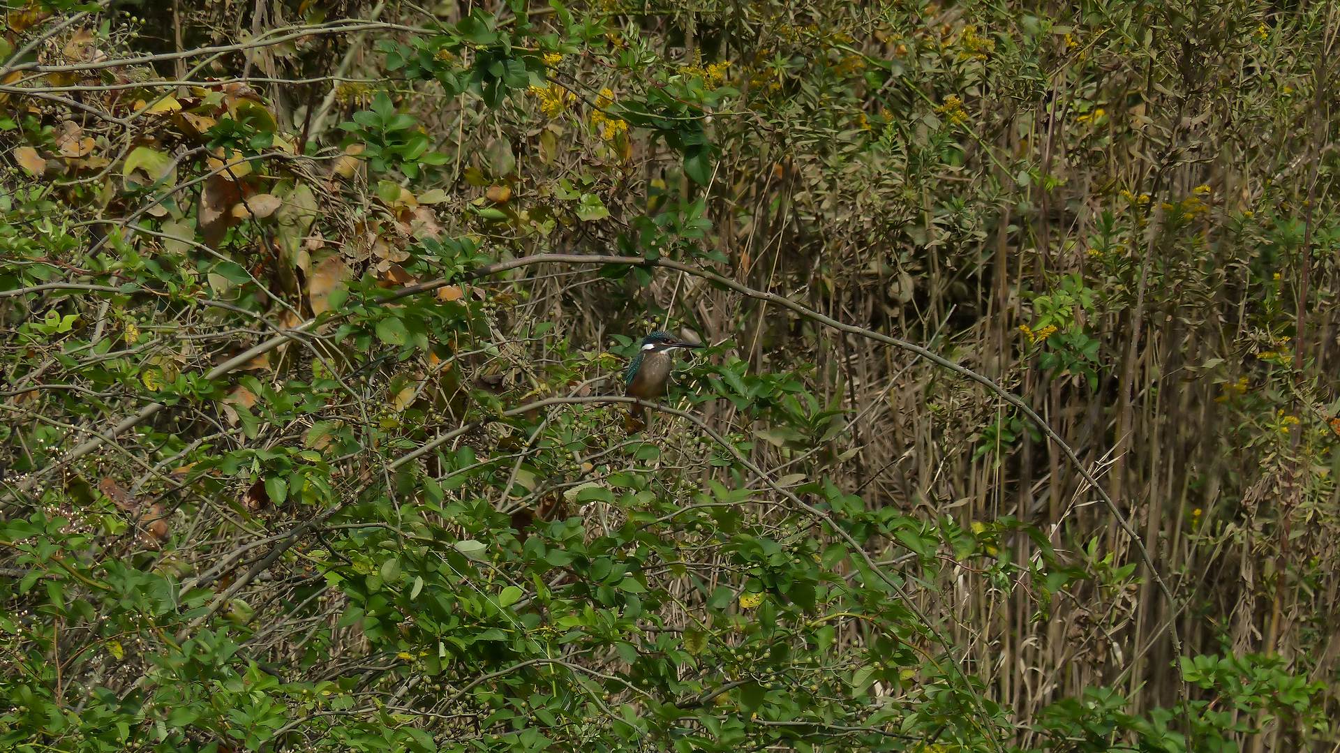 a0185081_2142380.jpg