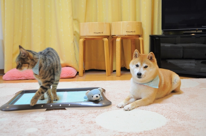 発想の転換_a0126590_22582721.jpg