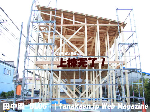 店舗建設 Part.6！_b0200291_0262559.jpg