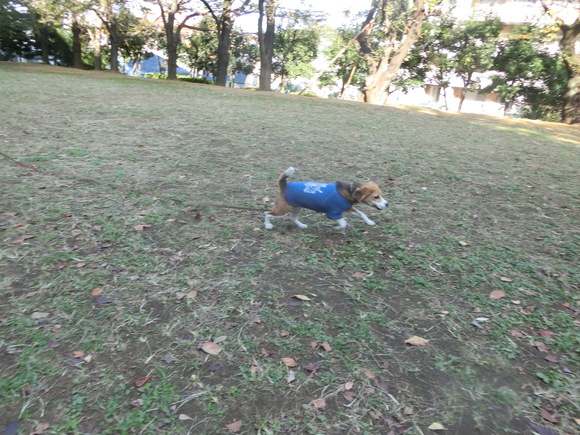 a0319693_98823.jpg