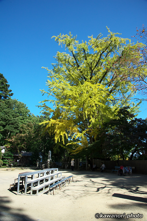 d0146295_00380.jpg