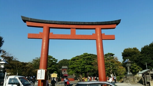 コチラが『大いちょうの大木。』鎌倉 鶴岡八幡宮。_d0092901_00574303.jpg