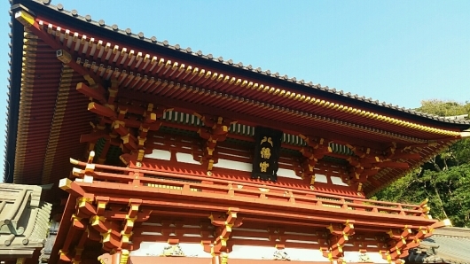 コチラが『大いちょうの大木。』鎌倉 鶴岡八幡宮。_d0092901_00575324.jpg