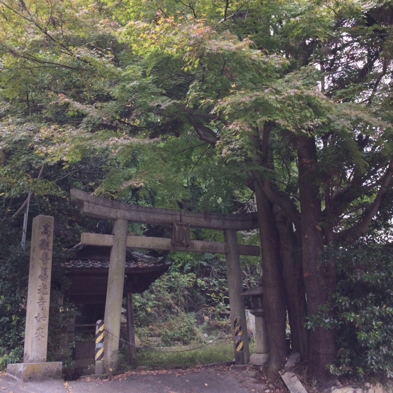 b0220002_17135319.jpeg