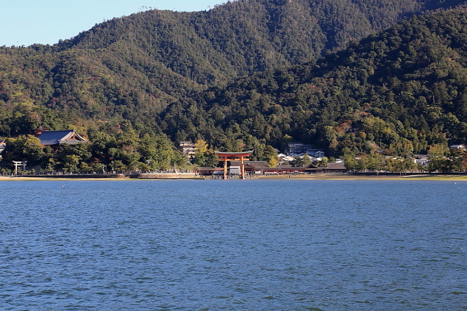 d0334006_11332521.jpg