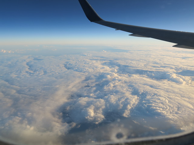 a0210108_1864599.jpg