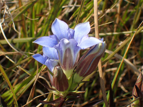 e0293913_22474491.jpg