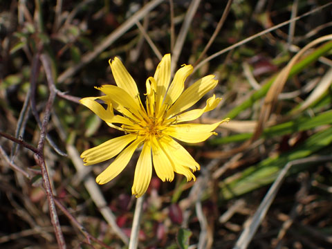 e0293913_2248025.jpg