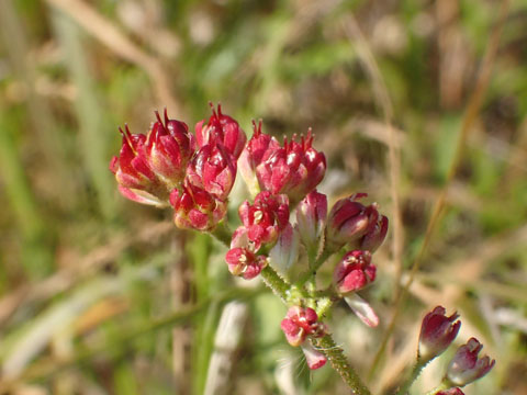 e0293913_2248523.jpg