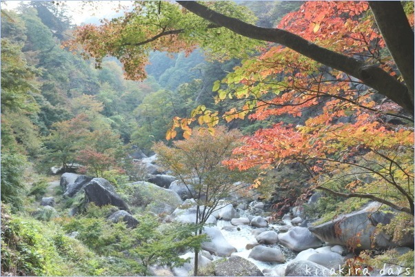 山梨の昇仙峡へ。。。紅葉を楽しみに♪_f0354014_21521540.jpg
