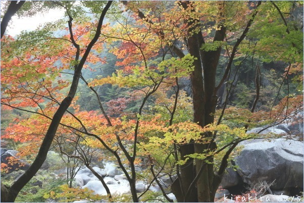 山梨の昇仙峡へ。。。紅葉を楽しみに♪_f0354014_21521689.jpg