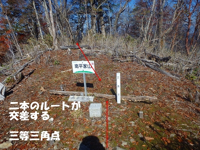 f0193521_1256931.jpg