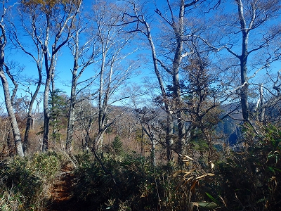 f0193521_12583752.jpg