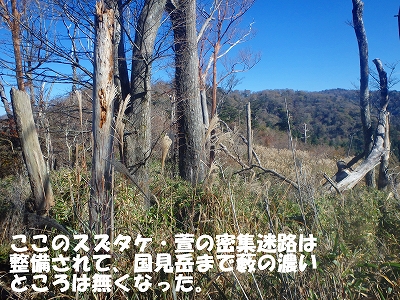 f0193521_12594487.jpg