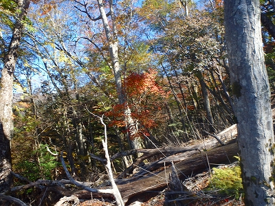 f0193521_13121319.jpg