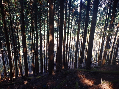 f0193521_13154574.jpg