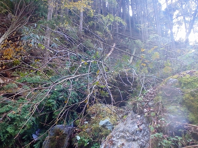 f0193521_933442.jpg
