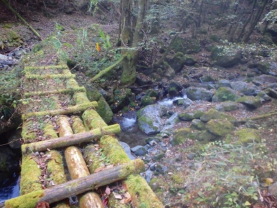 f0193521_9363741.jpg