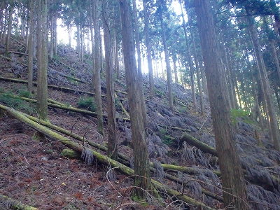 f0193521_9381769.jpg